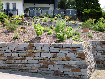 Galabau-Knof Hausgartenbau und Gestaltung von Außenanlagen